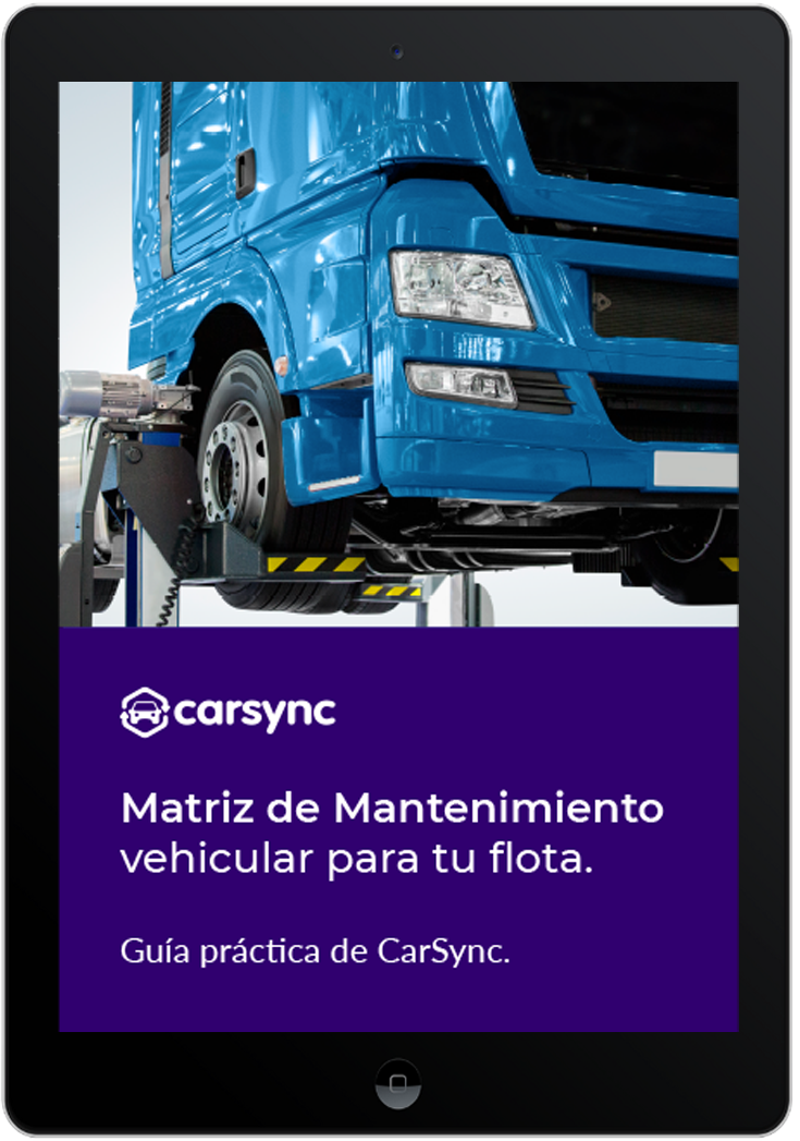 lp-matriz-mantenimiento